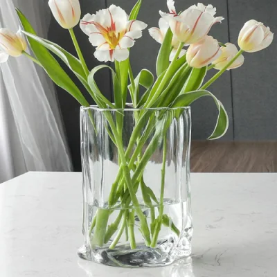 Vaso decorativo irregular de vidro recipientes para plantas de flores Ci22603