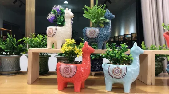 Novo Design Pote de Cerâmica em Forma de Animal com Planta Samll Suculenta